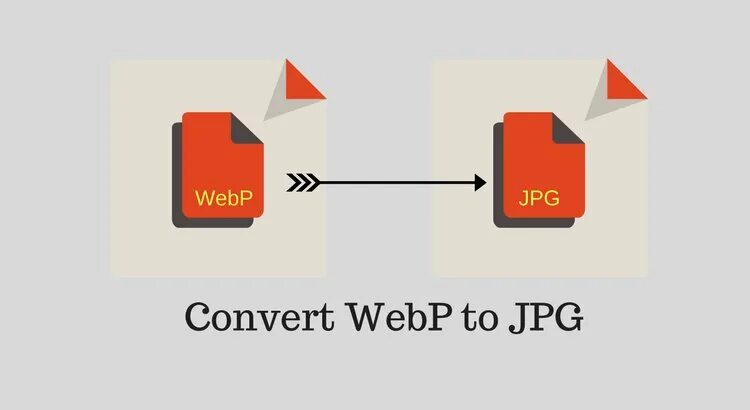 Конвертер webp. Формат webp. Webp в jpg конвертер. Конвертировать Формат webp. Webp in png