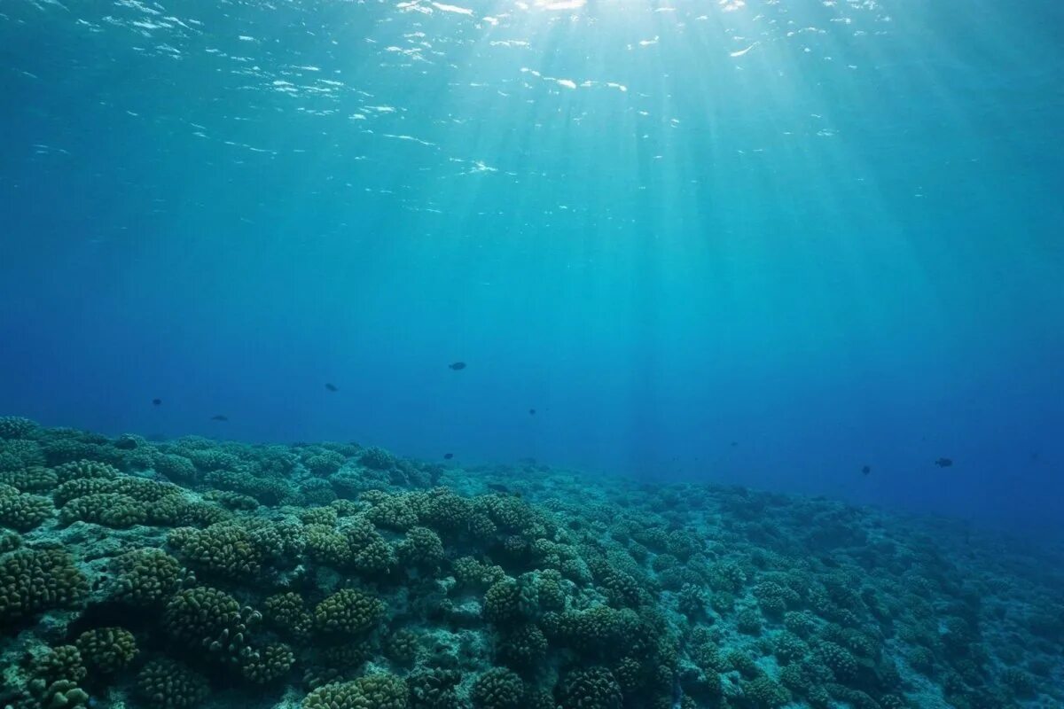 Толщи вод океанов. Дно моря. Океаны. Глубина. Море глубина. Дно океана.