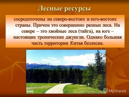 Географическое положение лесных ресурсов