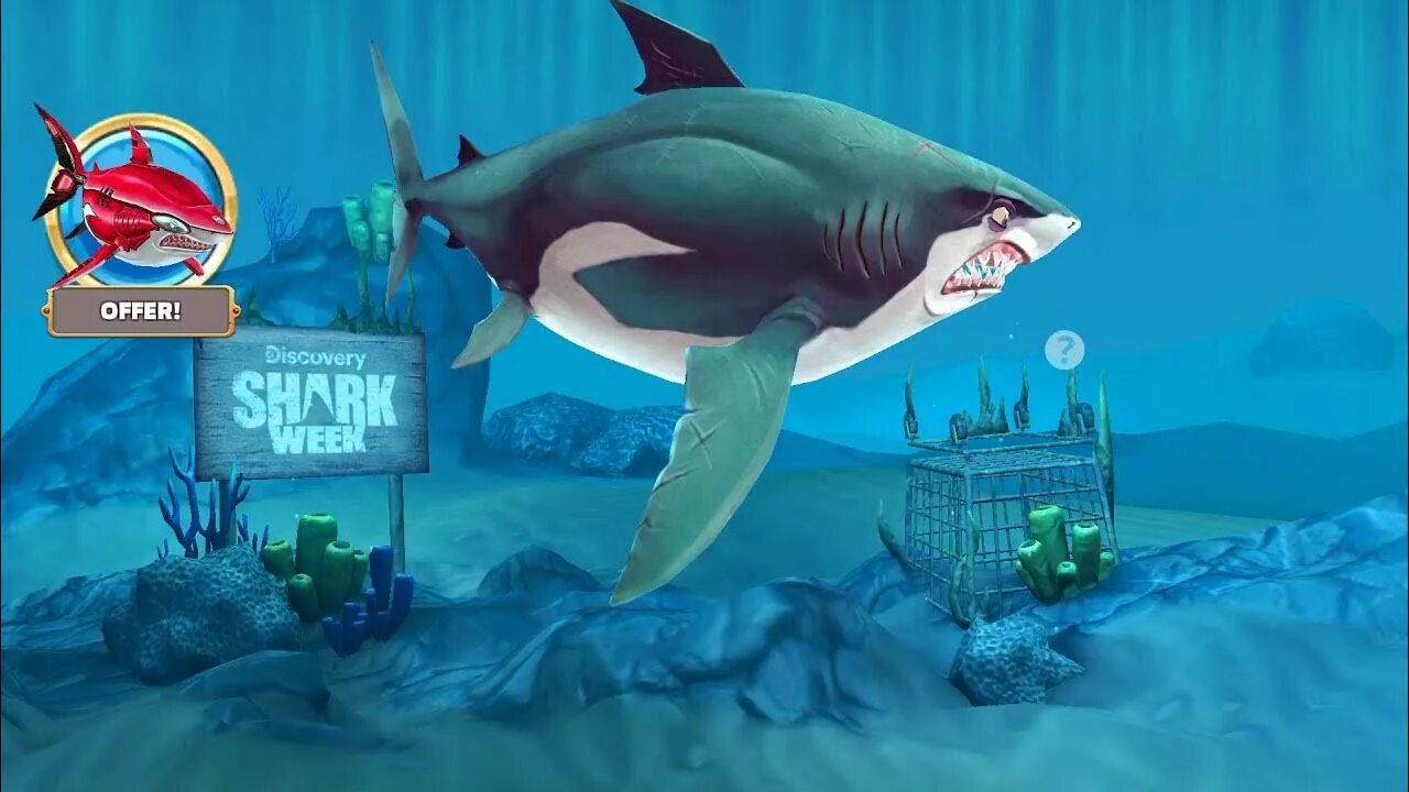 Акулу ворлд. Игра Хангри Шарк. Хангри Шарк World. Хангри Шарк ворлд акулы. Стая акула Хангри Шарк.