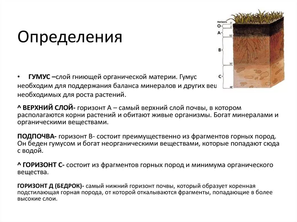 Материнская порода гумусовый вымывания вмывания. Структура почвы почвенные горизонты. Особенности грунтового слоя почвы. Строение почвы это определение. Глубина активного слоя почвы.