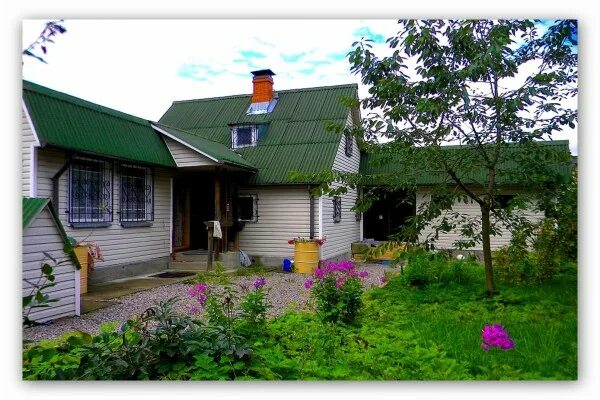 поселок торики. территория торики спб. торики садоводство. торики. торики горелово.