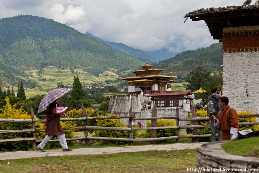 Бутана больше