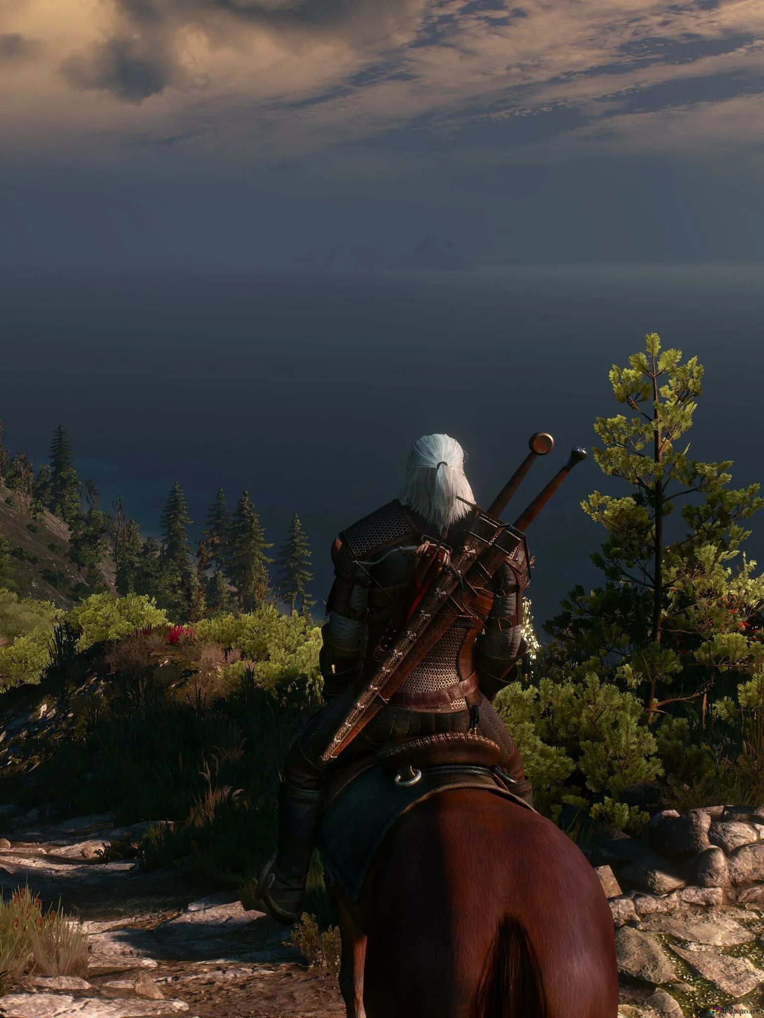 Witcher 3. The Witcher 3 Wild Hunt. The Witcher 3 Wild Hunt Ведьмак 3 Дикая охота. Витчер 3 вилд Хант.