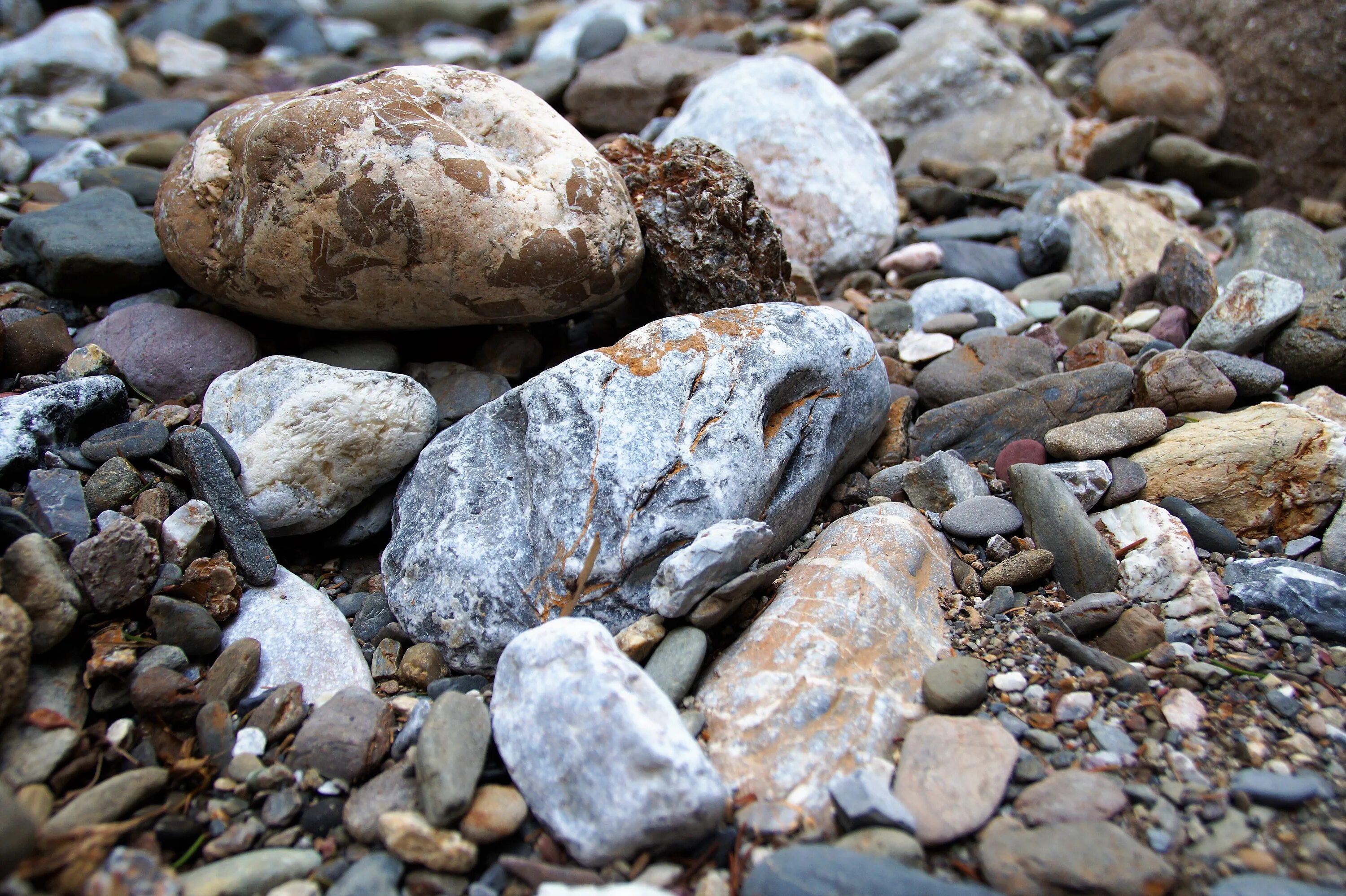 Какой камень плавает. Маленький камень. Земля с валунами. Речные камни. Речные валуны.