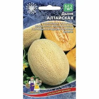 Дыня алтайская описание отзывы