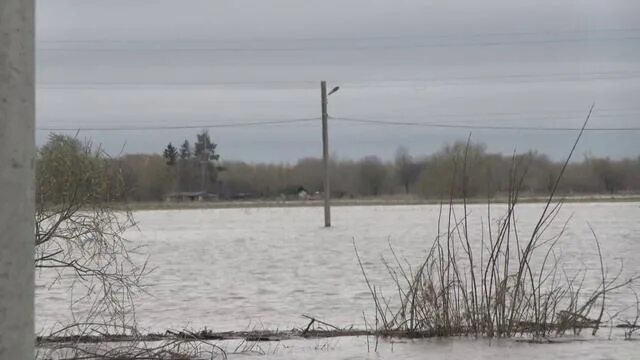 Пик половодья в рязани прогнозы