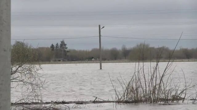 Прогноз на паводок в рязани 2024. Половодье в Борках Рязань. Половодье ожидается в Рязанской области в 2011. Половодье 23 Рязань. Константиново половодье.