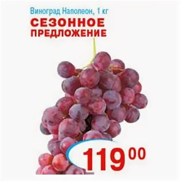 Сорт винограда кишмиш лучистый характеристика. Виноград церковные колокола. Виноград сорт альфа характеристика. Виноград королева виноградников. Сроки созревания винограда.