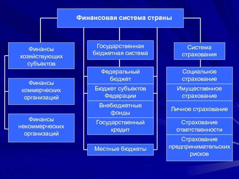 Страхование бюджетных учреждений. Финансовая система государства. Финансовая система страны. Финансы хозяйствующих субъектов. Субъекты финансовой системы.