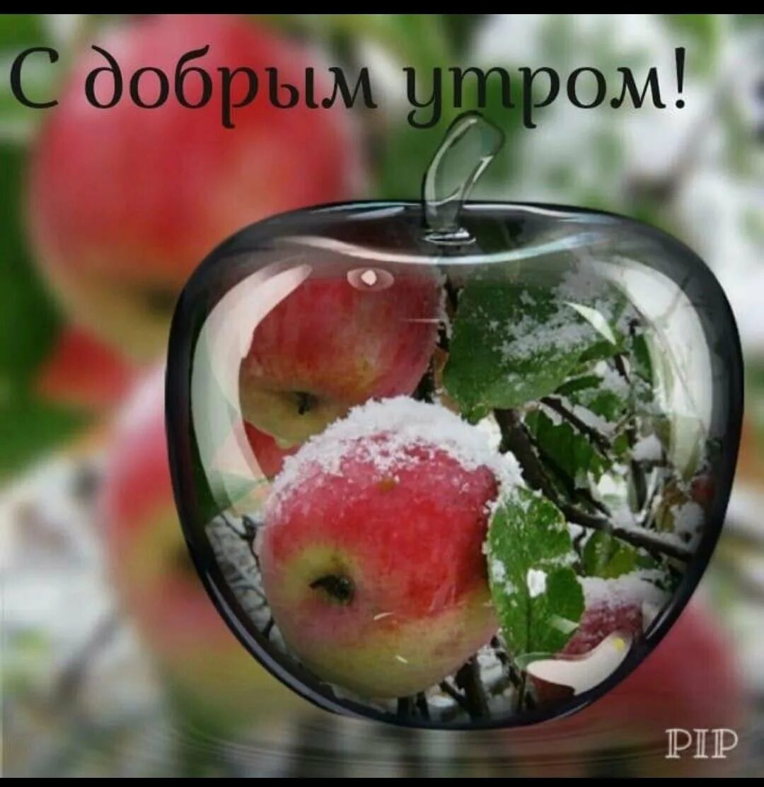 Картинки доброе утро с пожеланиями позитивные необычные. Пожелания с добрым утром с фруктами. Пожелания с добрым утром с фруктами надписями. Открытки с добрым утром с фруктами. С добрым утром яблоки.