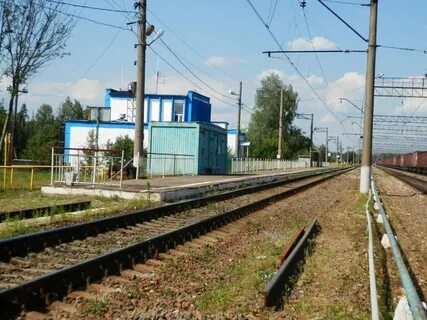 Электрички подсолнечный поварова