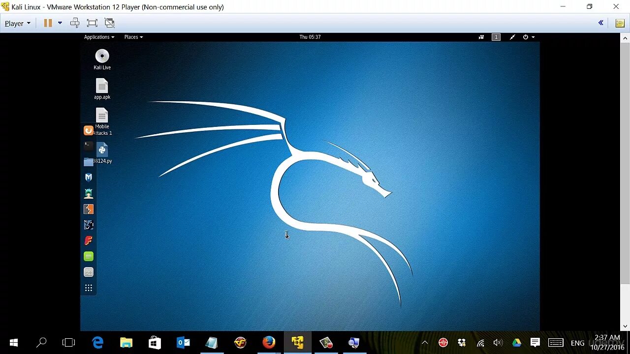 Kali linux packages. Кали линукс. kali linux обои. kali linux рабочий стол. linux хакер.