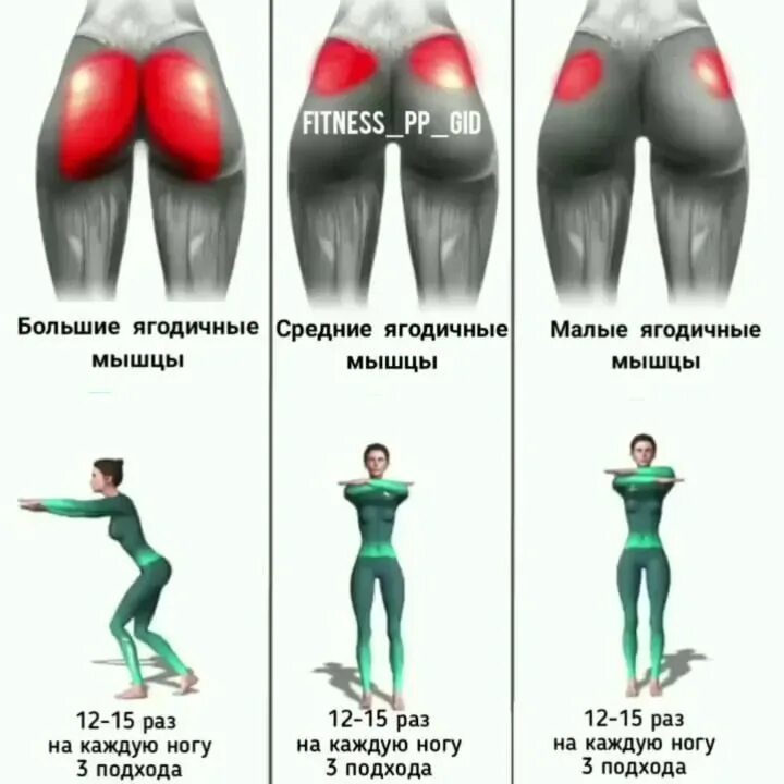 Как убрать ягодицы мужчине. Упражнения для ягодиц. Упражнения для мышц ягодиц. Упражнения на верхнюю часть ягодиц. Упражнения на среднюю ягодичную мышцу.