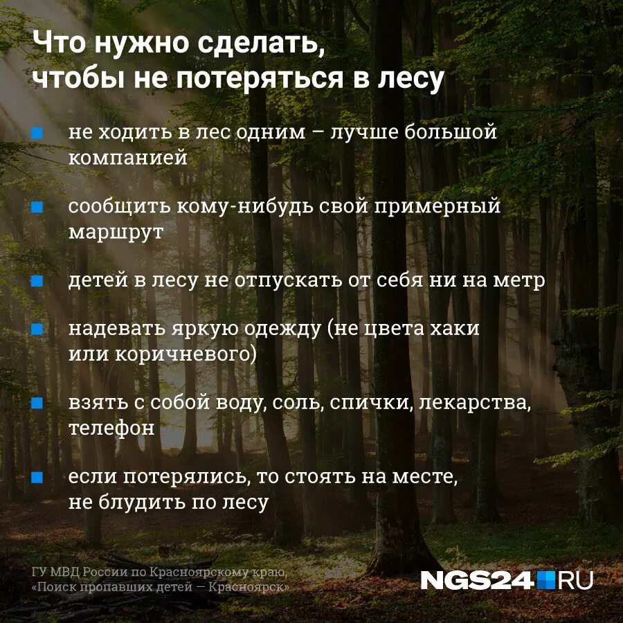 Что нужно делать в лесу если заблудился. Памятка заблудившемуся в лесу. Что делать если потерялся в лесу. Что делать если заблудился в лесу. Что делать если ты заблудился в лесу.