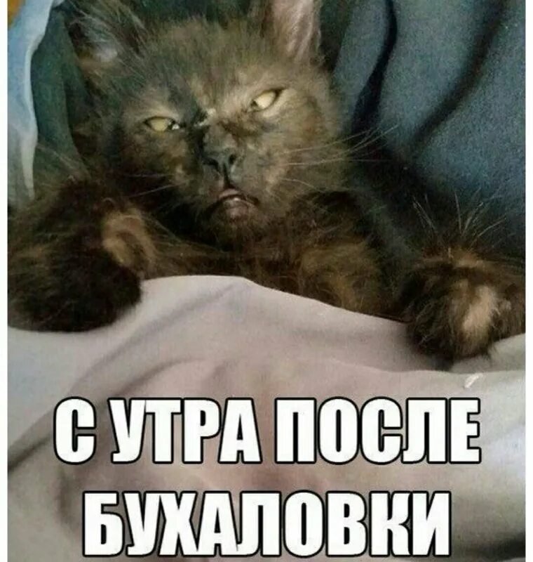 На следующий день после