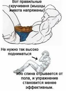 Через сколько уйдет живот качая пресс