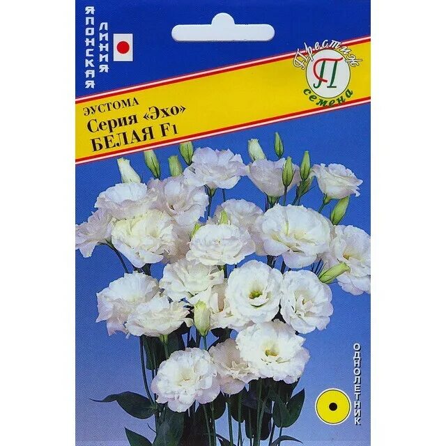 Эустома махровая белая. Эустома mariachi white pure. эустома rosie white. эустома arena giant white. эустома croma silk white.