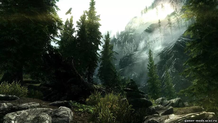 Красивая природа из игр. Пейзаж скайрим рифтен лес. Скайрим 4. Skyrim se nature. Скайрим река.