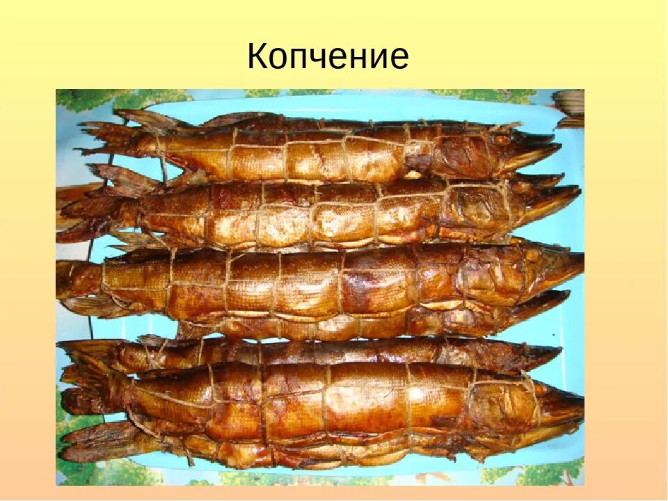Как закоптить щуку горячего копчения. Копченая щука горячего копчения. судак горячего копчения. копченая мойва горячего копчения. щука холодного копчения тушка.