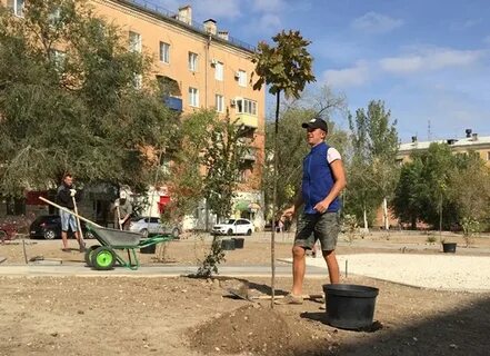 Работа волгоград тзр