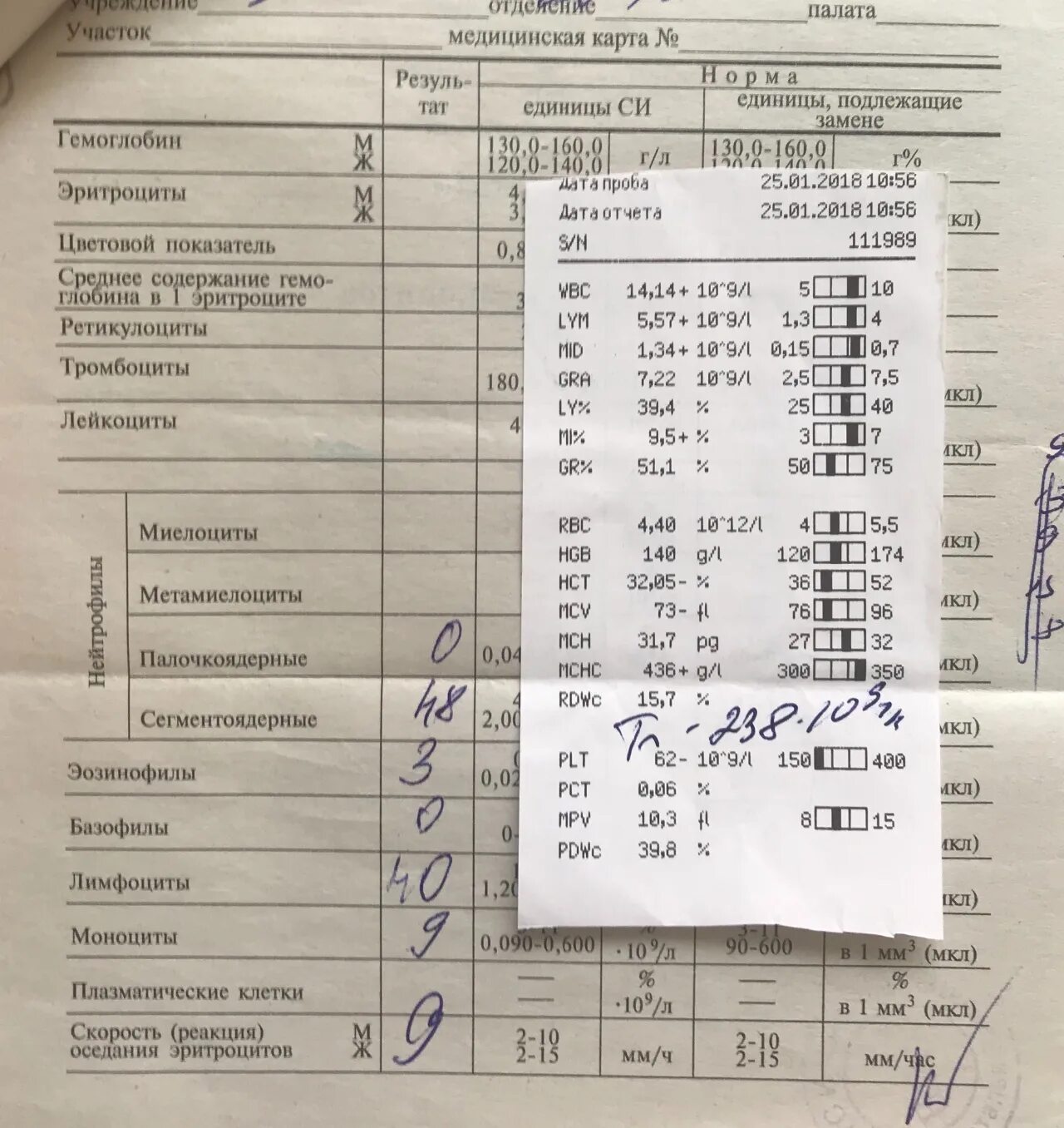 Общий анализ крови лейкоцитоз. ОАК лейкоцитоз. Показатели крови при лейкоцитозе. Реакция оседания эритроцитов норма у женщин.