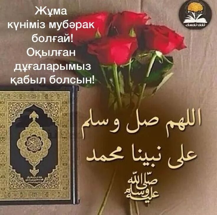 Кабыл болсын перевод. Кабыл болсын перевод. Кабыл болсын перевод. Кабыл болсын перевод. Орозонор кабыл болсун перевод.