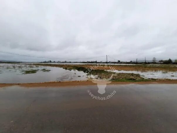 Погода в новоширокинском газимуро заводский