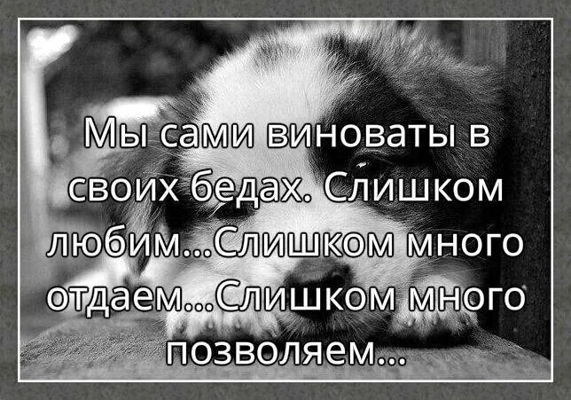 Мы сами виноваты в своих. Мы сами виноваты в своих бедах слишком. Сама виновата. Рассказы сама виновата