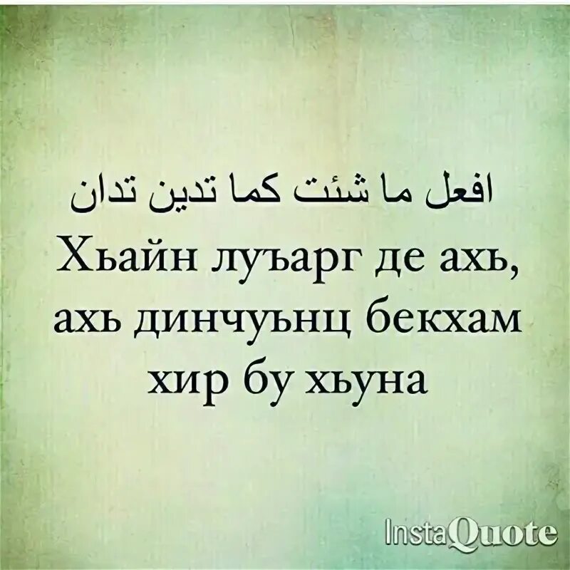 Хир ду. Хьайн луарг де ахь динчунц хир бу хьун бекхэм. ахь ахь ахь. куралла йи ахь. тешам цитаты.