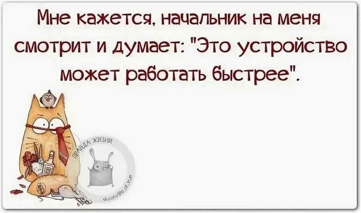 Статус без работы. Фразы про начальника. Цитаты про начальника. Афоризмы про начальство. Веселые фразы про работу.