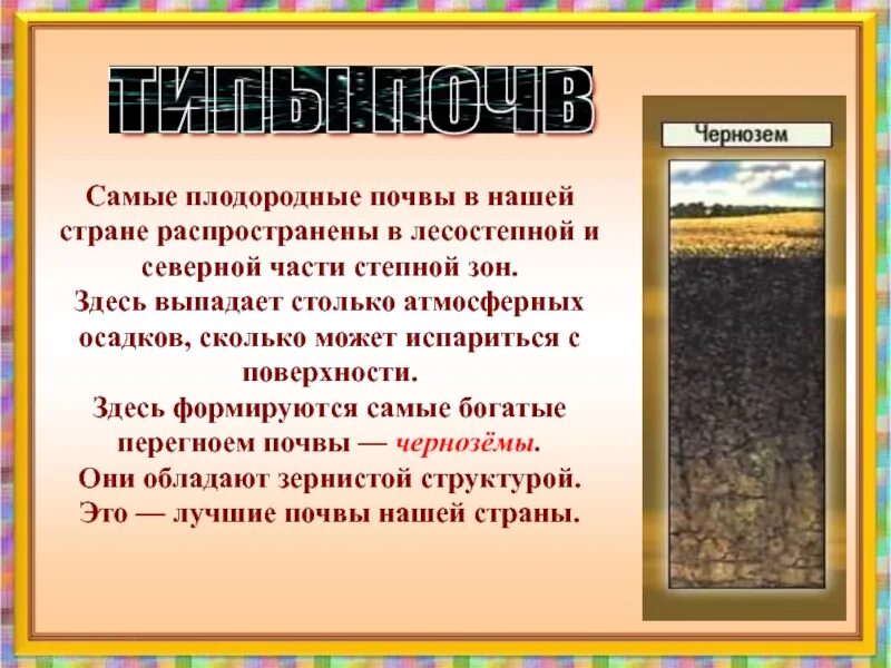 В какой зоне наиболее плодородные почвы