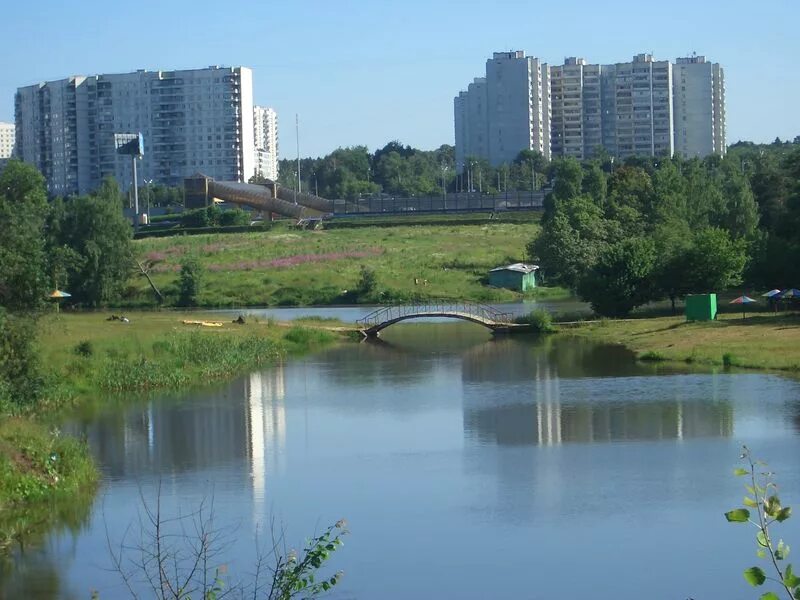 Ясенево отдых. Зона отдыха Битца Ясенево. Ясенево пруд Битцевский парк. Битцевский парк Бутово пруды. Пруд Битца.