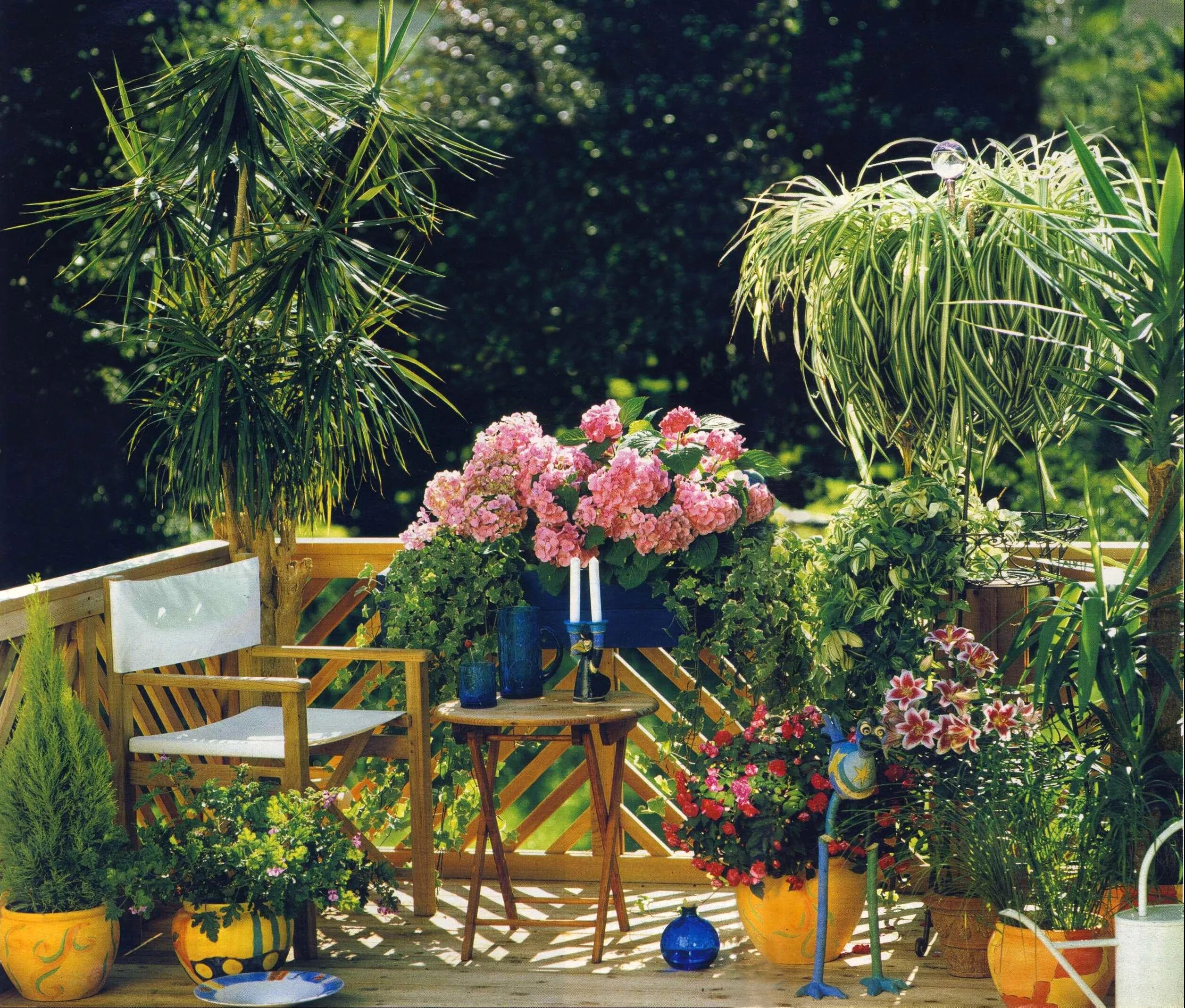 Можно ли выносить летом на улицу. Комнатные растения в саду. Комнатные цветы на улице летом. Можно ли выносить летом на улицу. Коллекция пеларгоний на улице.