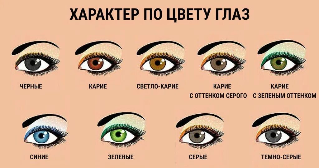 Как называются карие глаза. Характер человека по цвету глаз. разновидности зеленых глаз. разновидности голубых глаз. характер человека по цвету глаз карие.
