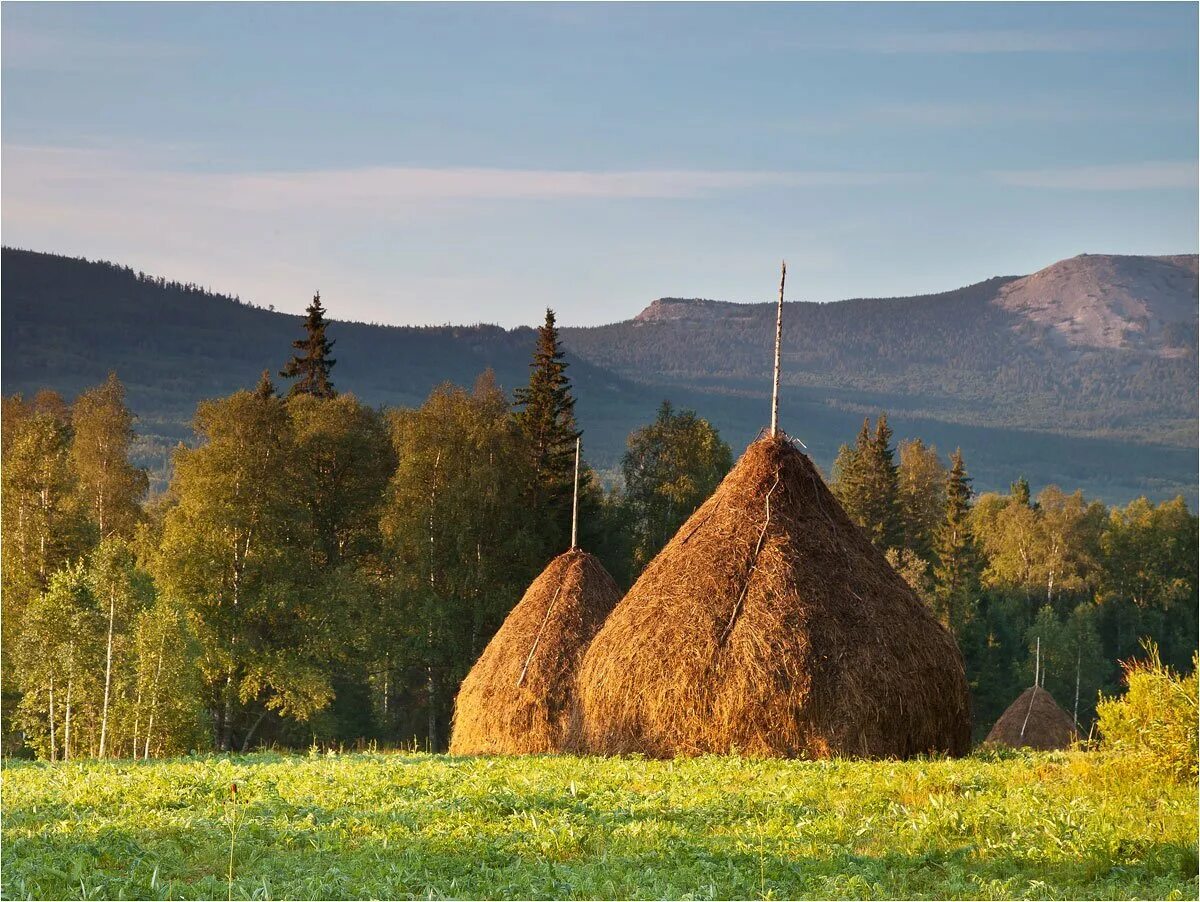 Осеннее сено