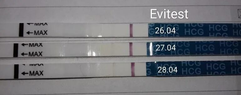 Слабоположительные тесты. Эвитест за 4 дня до задержки. Эвитест за 5 дней. 5 Дней задержки тест слабоположительный. 4 5 дней задержки