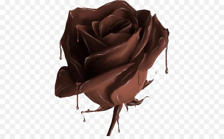 Brown rise. Шоколадные розы. Розы и шоколад. Цветы из шоколада на прозрачном фоне. Коричневые розы из шоколада.