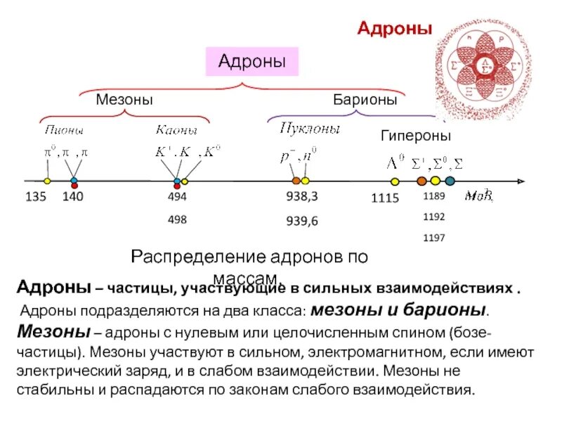 Элементарные частицы адроны. Адроны и Барионы. Барионы это элементарные частицы. Из чего состоит адрон. Элементарные частицы реакции