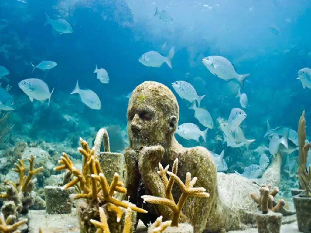 Подводный музей Канкун. Остров Исла Мухерес подводный музей. Музей подводных скульптур в Канкуне. Мексика подводный мир Канкун.