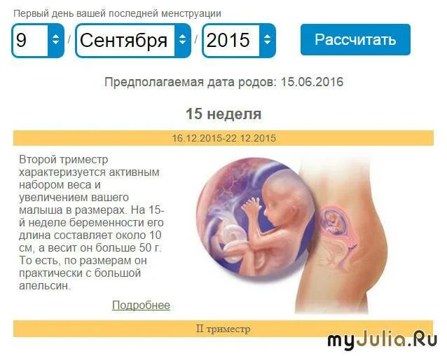 Срок беременности. Какая неделя беременности считается. Триместры беременности по месяцам и неделям. Календарь беременности по месяцам. Срок беременности в неделях.