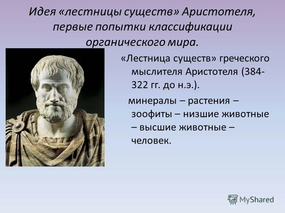 лестница существ аристотеля