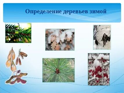 Определить зимний