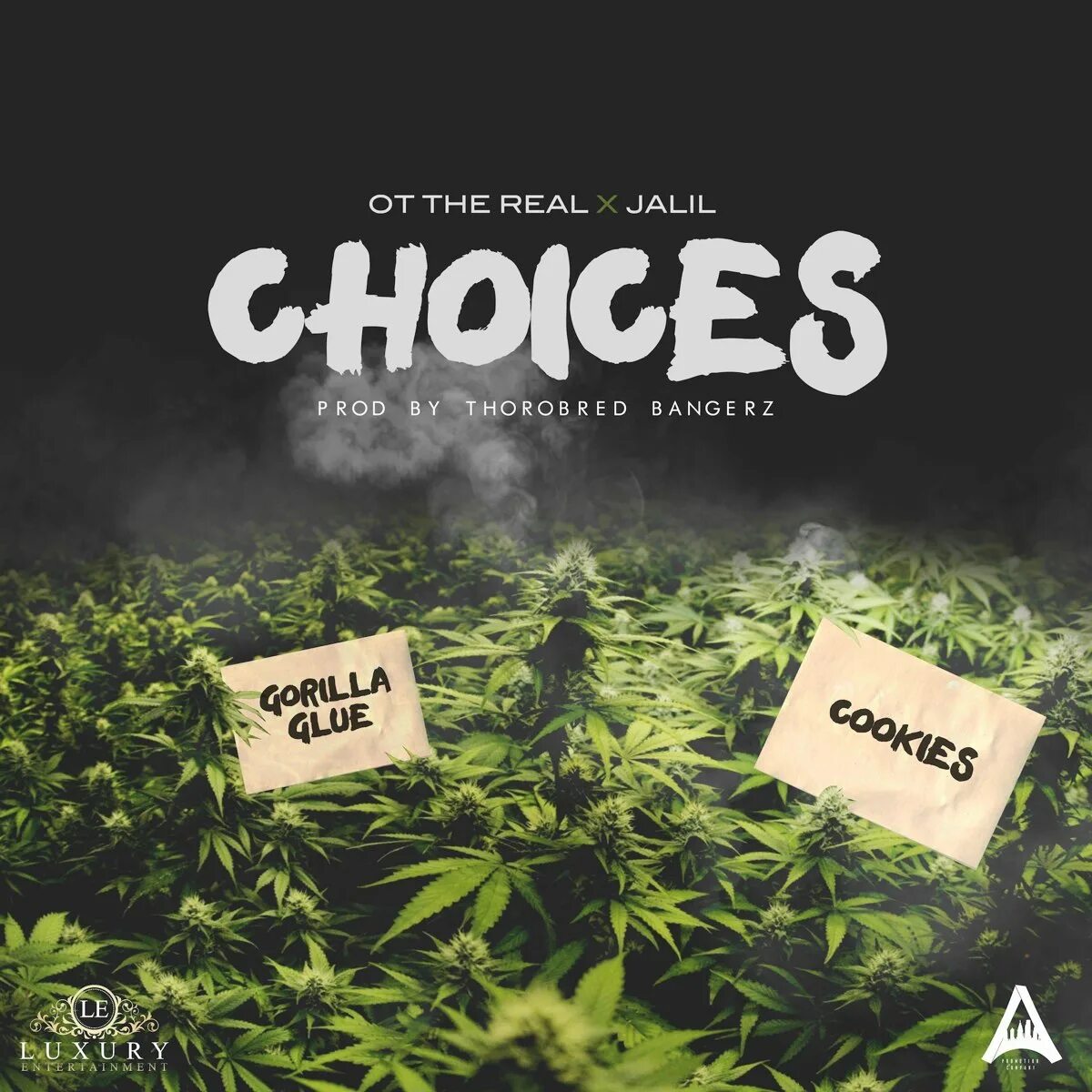 Single choice. Choices album. Choice песня. Слушать the real. Choice перевод песни.