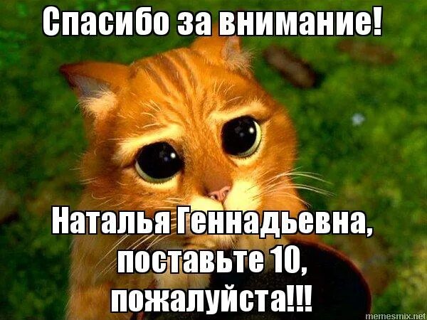 Спасибо за внимание мем. Спасибо за внимание кот. Спасибо за внимание Наталья. Спасибо за внимание Мем кот. Презентация окончена спасибо за внимание Шрек