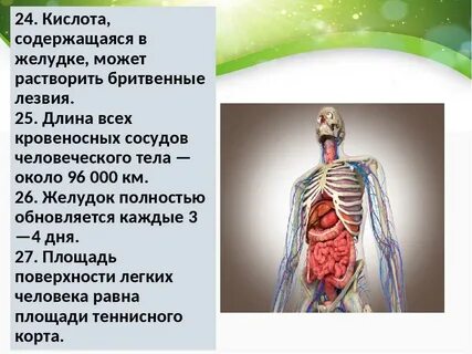 Работу всех органов