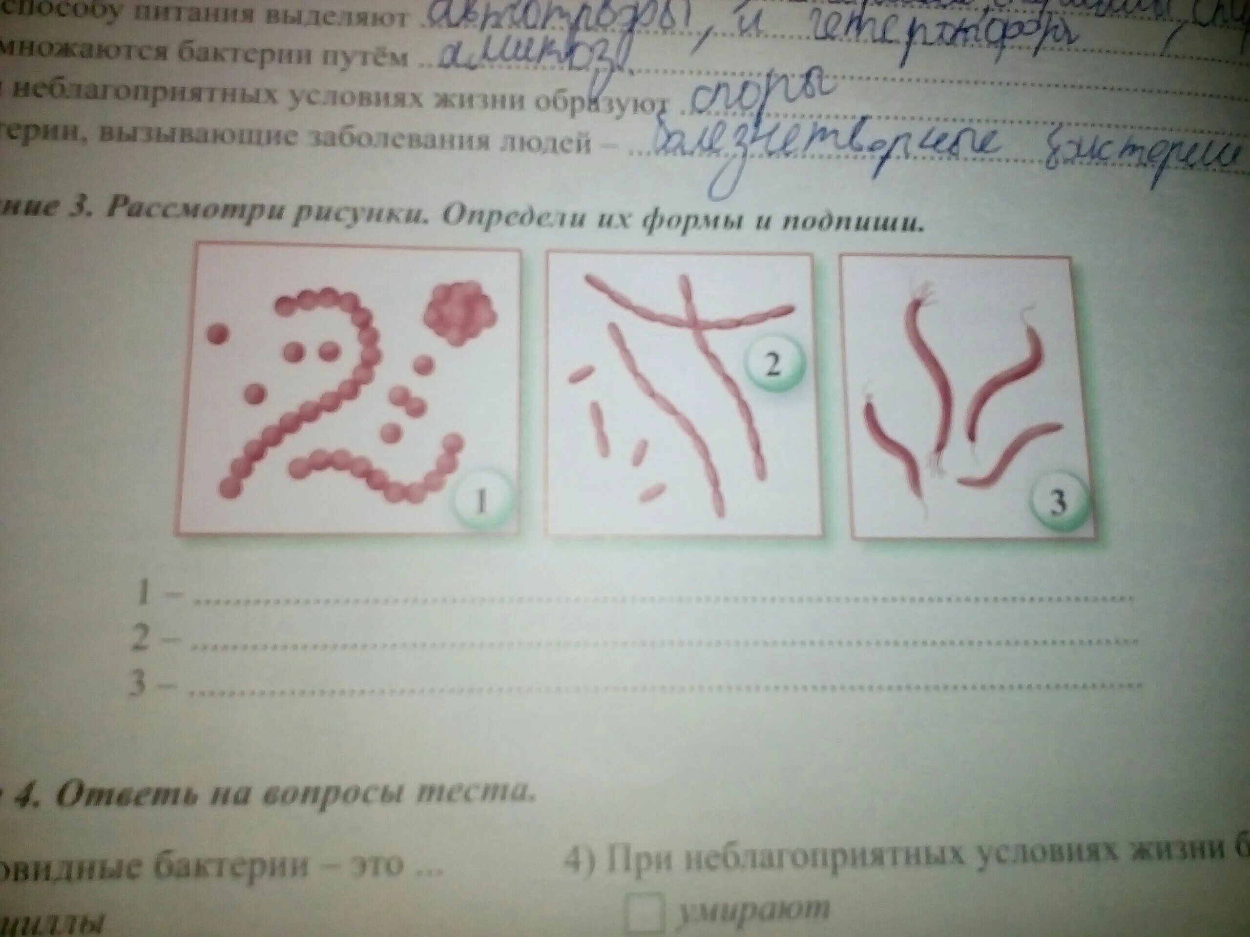 Подпиши каждый рисунок. Рассмотри рисунки Подпиши каждый рисунок. Рассмотри рисунок определи и Подпиши. Рассмотри рисунки Подпиши каждый рисунок 1. Рассмотри рисунок и определи значение m.