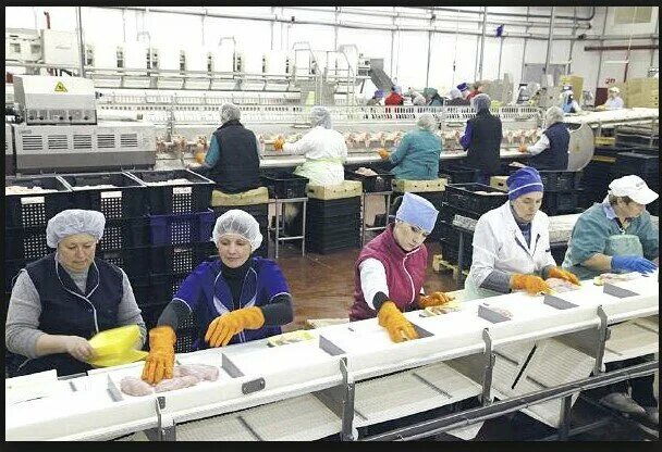 работа новосибирск вакансии для женщин заводы. работа для женщин без опыта работы. интересная вакансия. работник фабрики. упаковщики фасовщики.