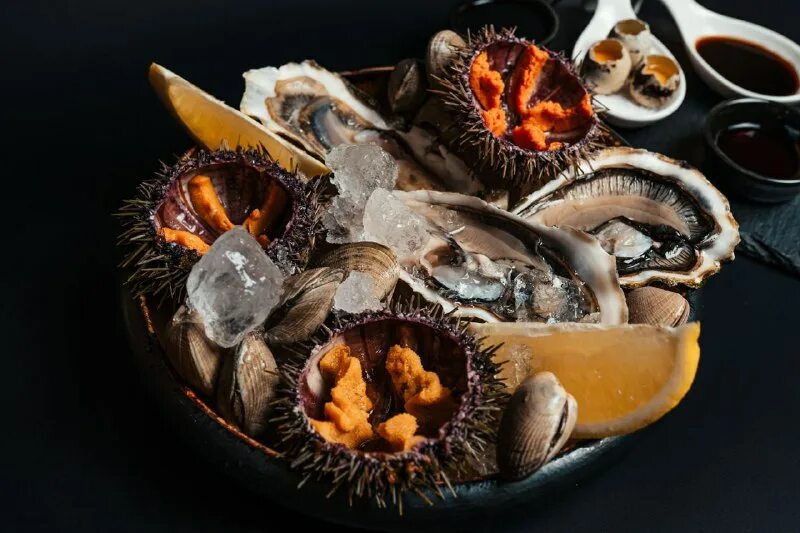 морские ежи и устрицы в ресторане. морские ежи и устрицы. еж и устрица ресторан. мидии или устрицы. морской еж и устрицы.