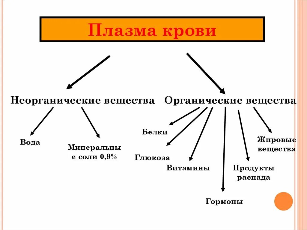 Органические вещества клетки 5 класс. Проводящие ткани ксилема и флоэма таблица. Проводят органические и минеральные вещества. Неорганические вещества. Органические и неорганические вещества клетки 5 класс.
